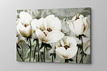 Kvetinový obraz 3d ilustrácia 2037